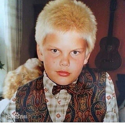  p>艾维奇(avicii,1989年9月8日—2018年4月20日),本名蒂姆·伯格林