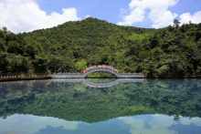 龙鼎湖