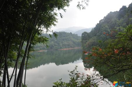 临峰山森林公园