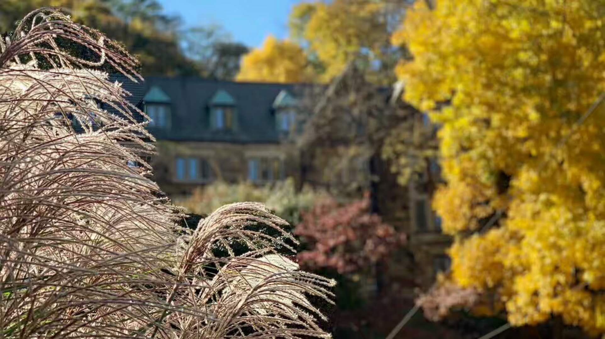  p>理海大学(lehigh university)由实业家艾萨·帕克(asa packer)创校