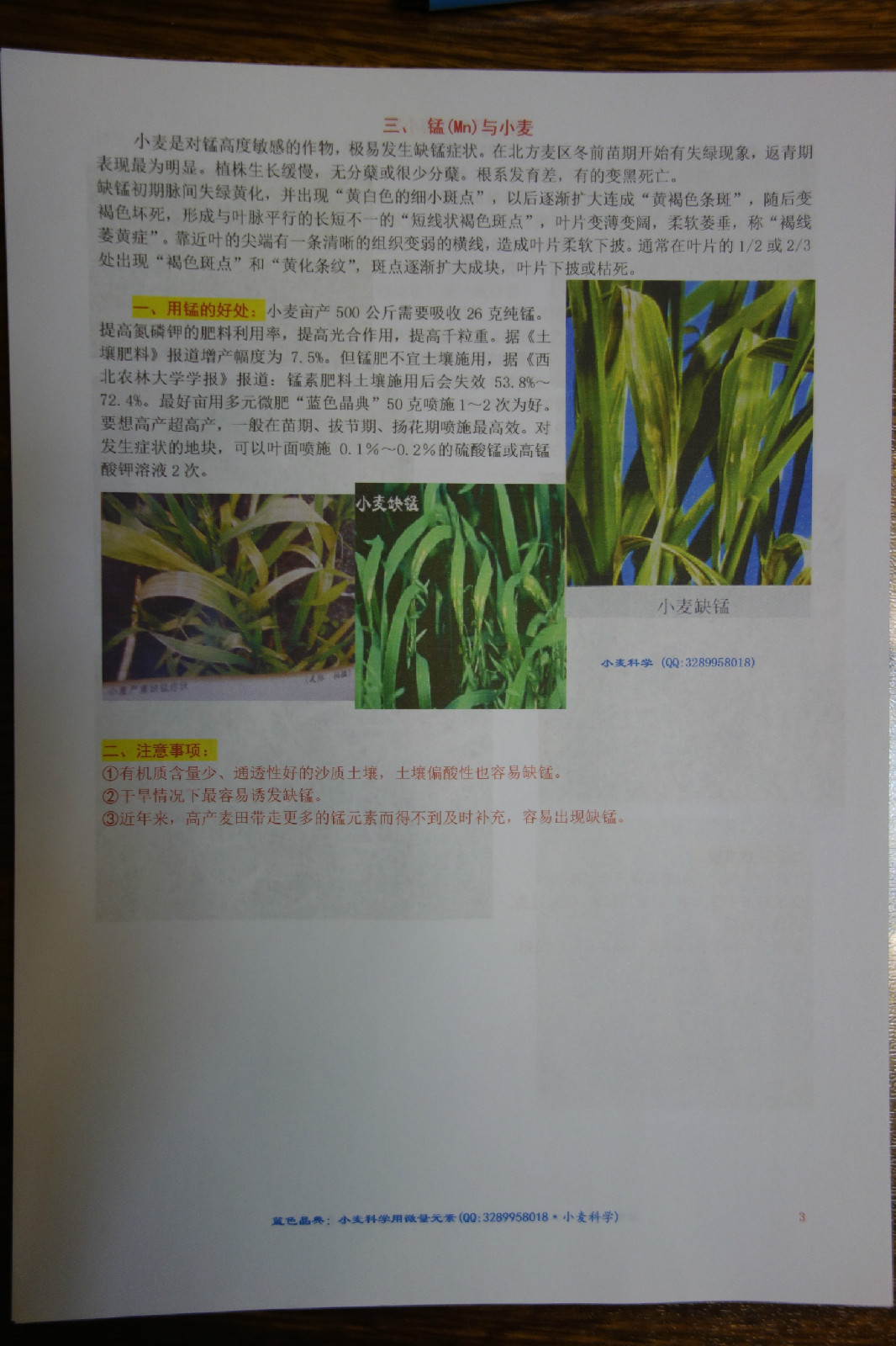 小麦缺素症