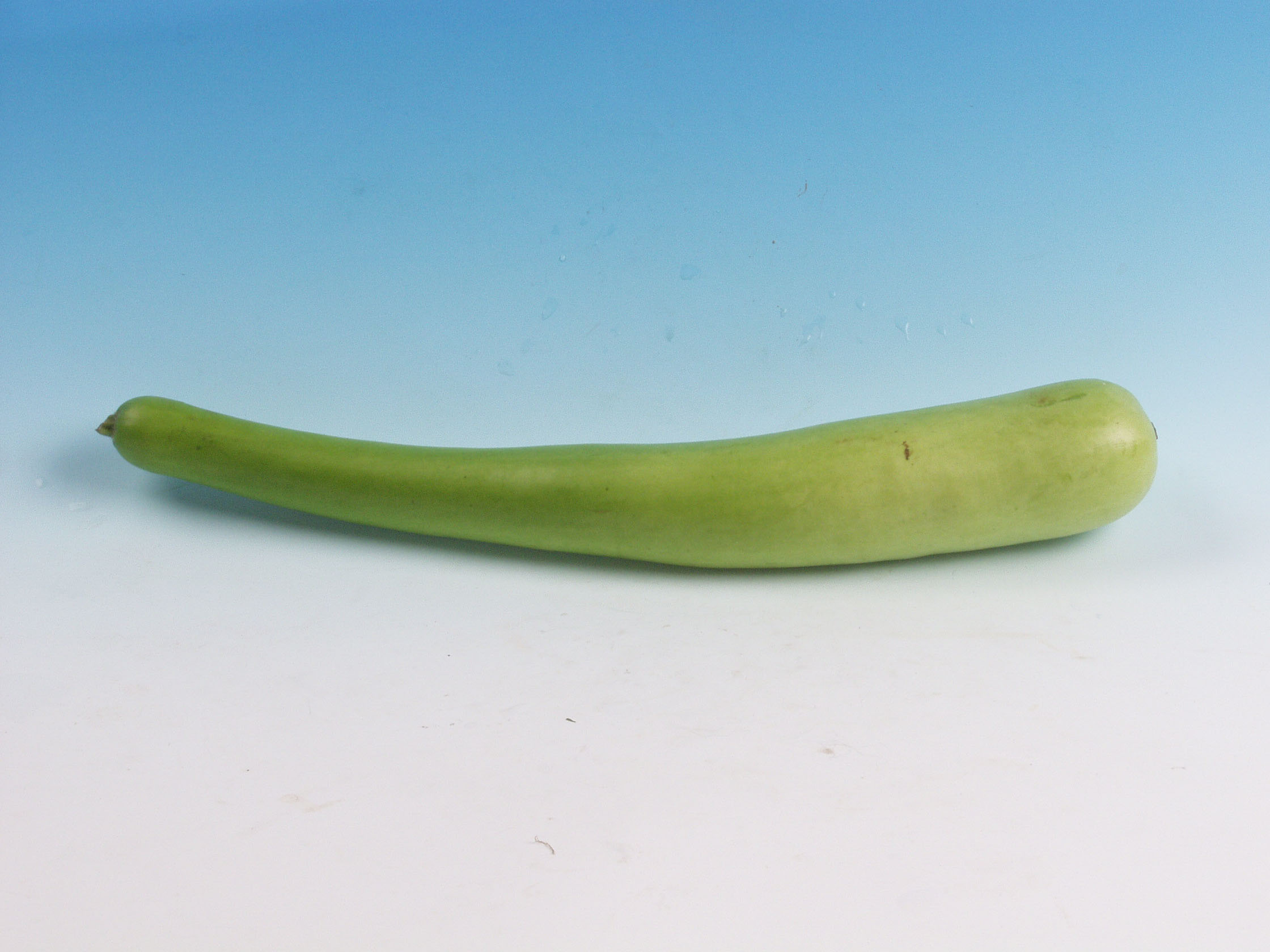  p data-id="gnbu4x7e76">菜葫芦又名肉葫芦, a target="_blank" href