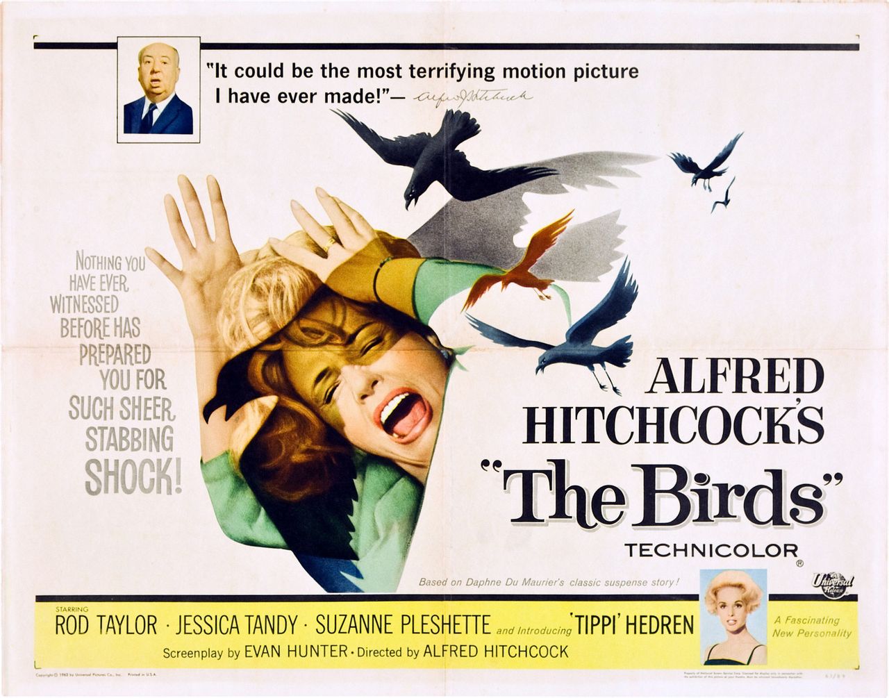 群鸟thebirds(1963)