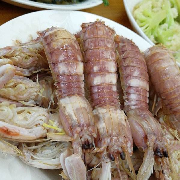 蒜蓉清蒸濑尿虾