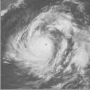  p> b>台风泰培 /b>(英语:typhoon tip)是有纪录以来全世界综合情况最