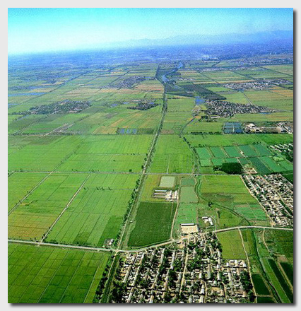  p>鄱阳湖平原,又称豫章平原,鄱阳湖盆地,是南昌盆地的重要部分.