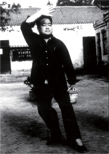 杨氏太极拳
