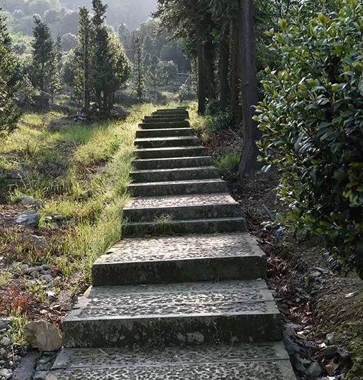 浙江奉化金峨山森林公园