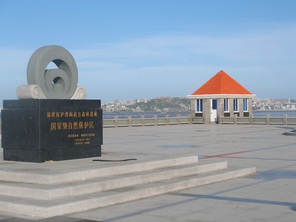  p>深沪湾自然保护区所发现的海底古森林遗迹主要分布于距海岸100m