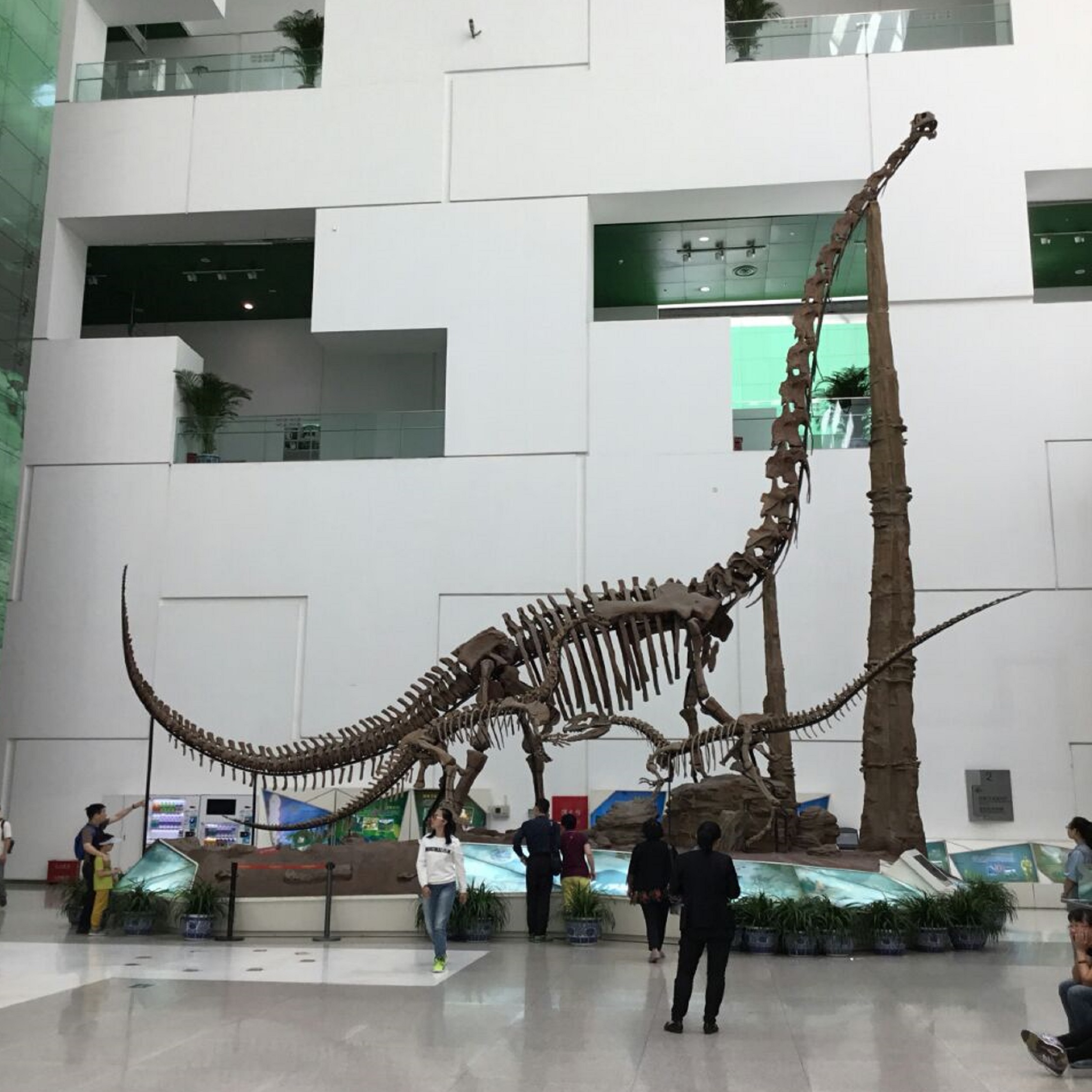 中国科学技术馆