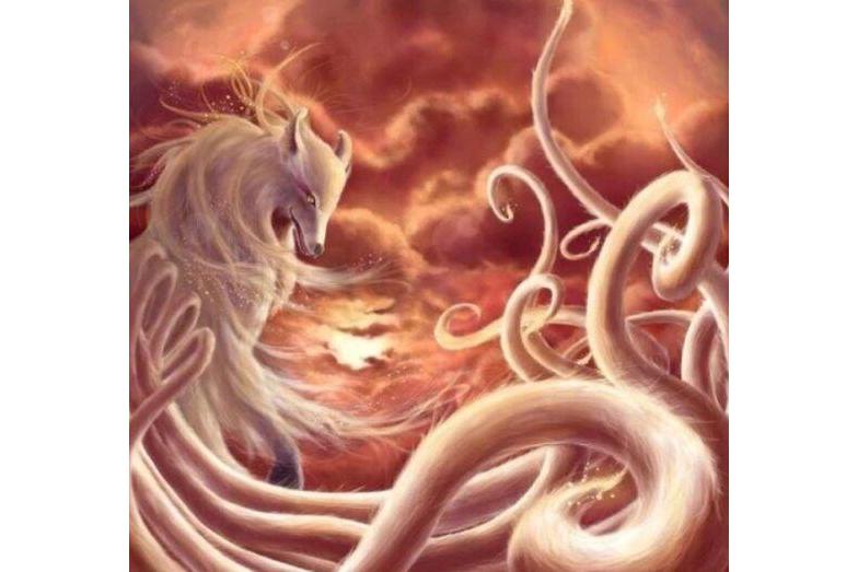 红云狐,蓝星狐,月光狐,邪焰六尾,冕焰九尾