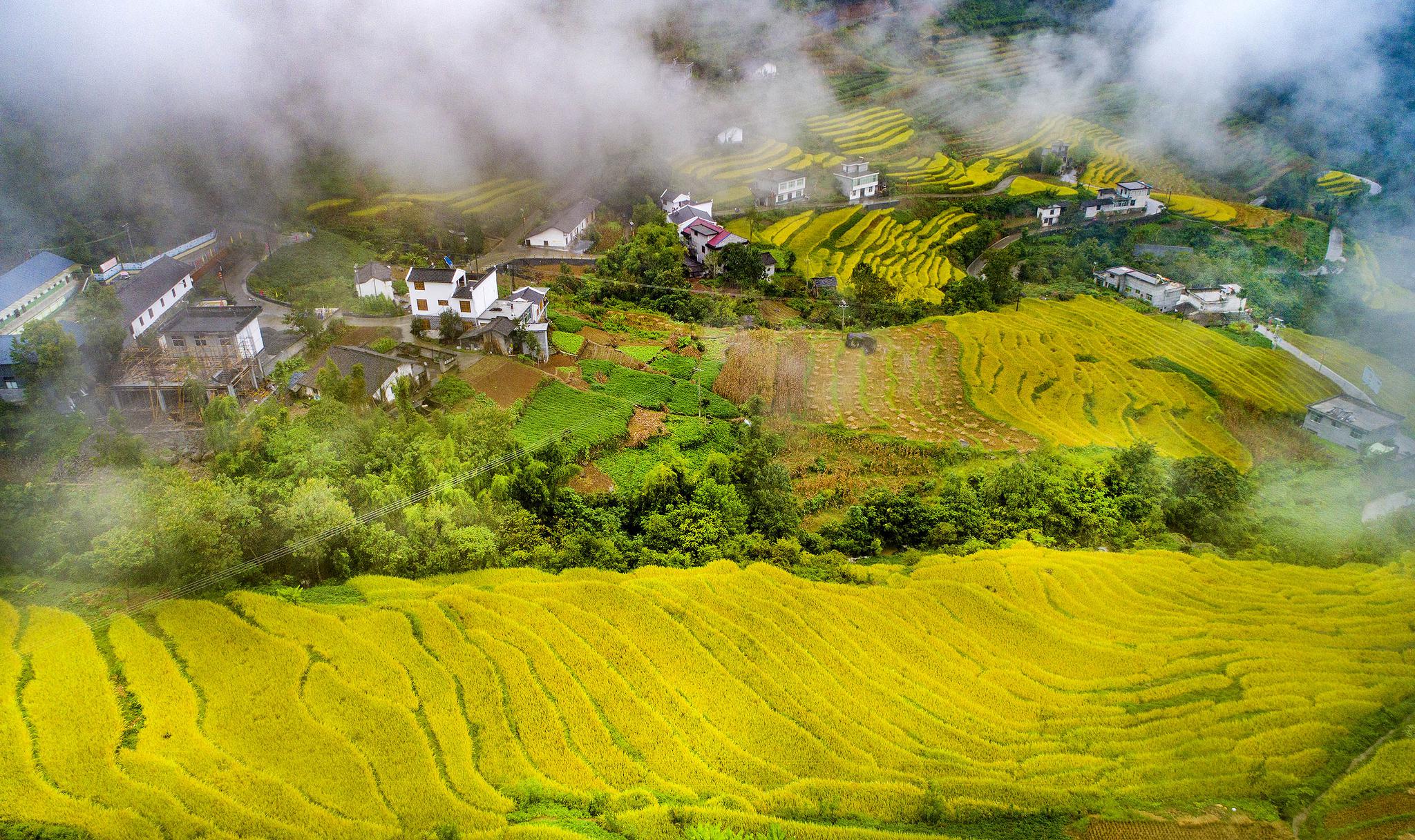 岚皋县