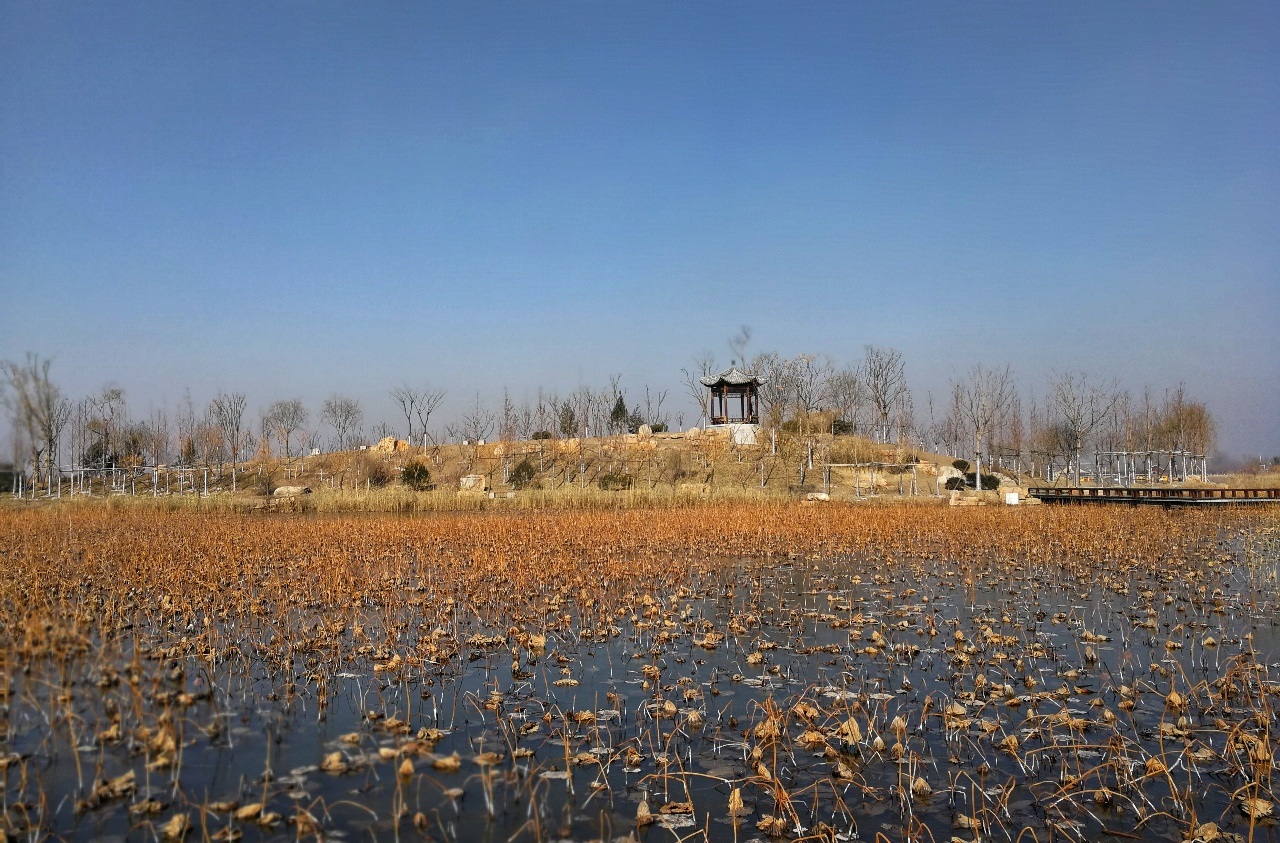 滨州市博兴县麻大湖旅游区