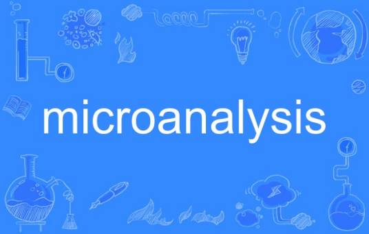 microanalysis（英语单词）_百度百科