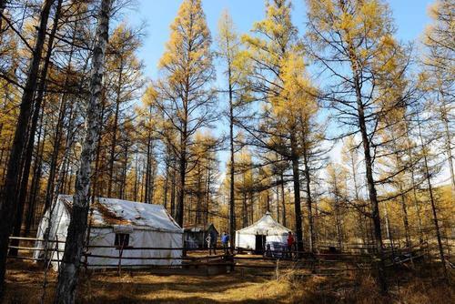 敖鲁古雅鄂温克民族乡