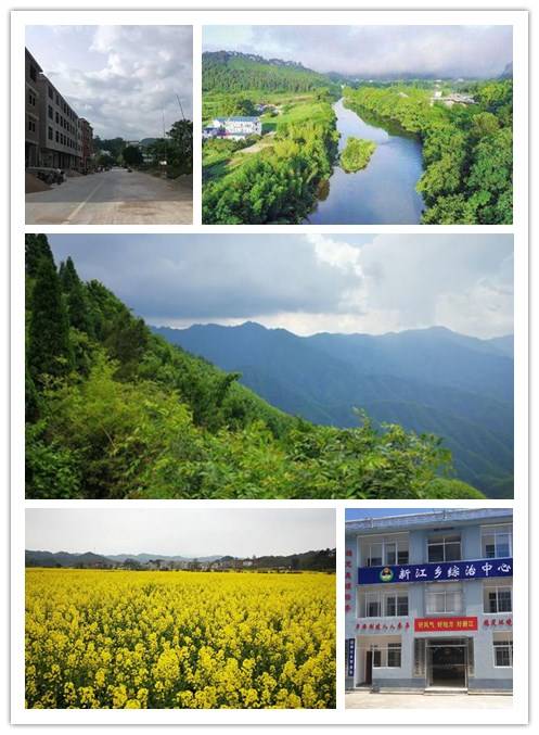 新江乡_百度百科