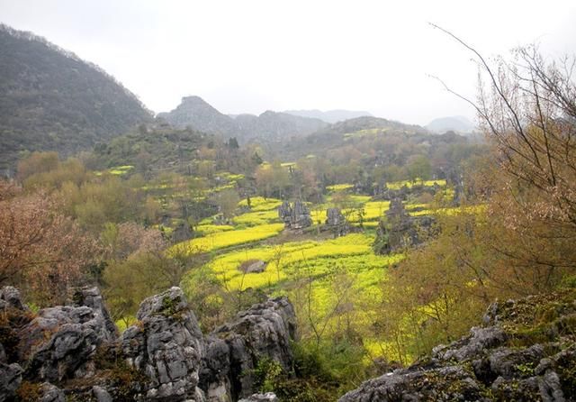 data-lemmaid="153775">河北省 /a>承德市承德县,地处 a target="