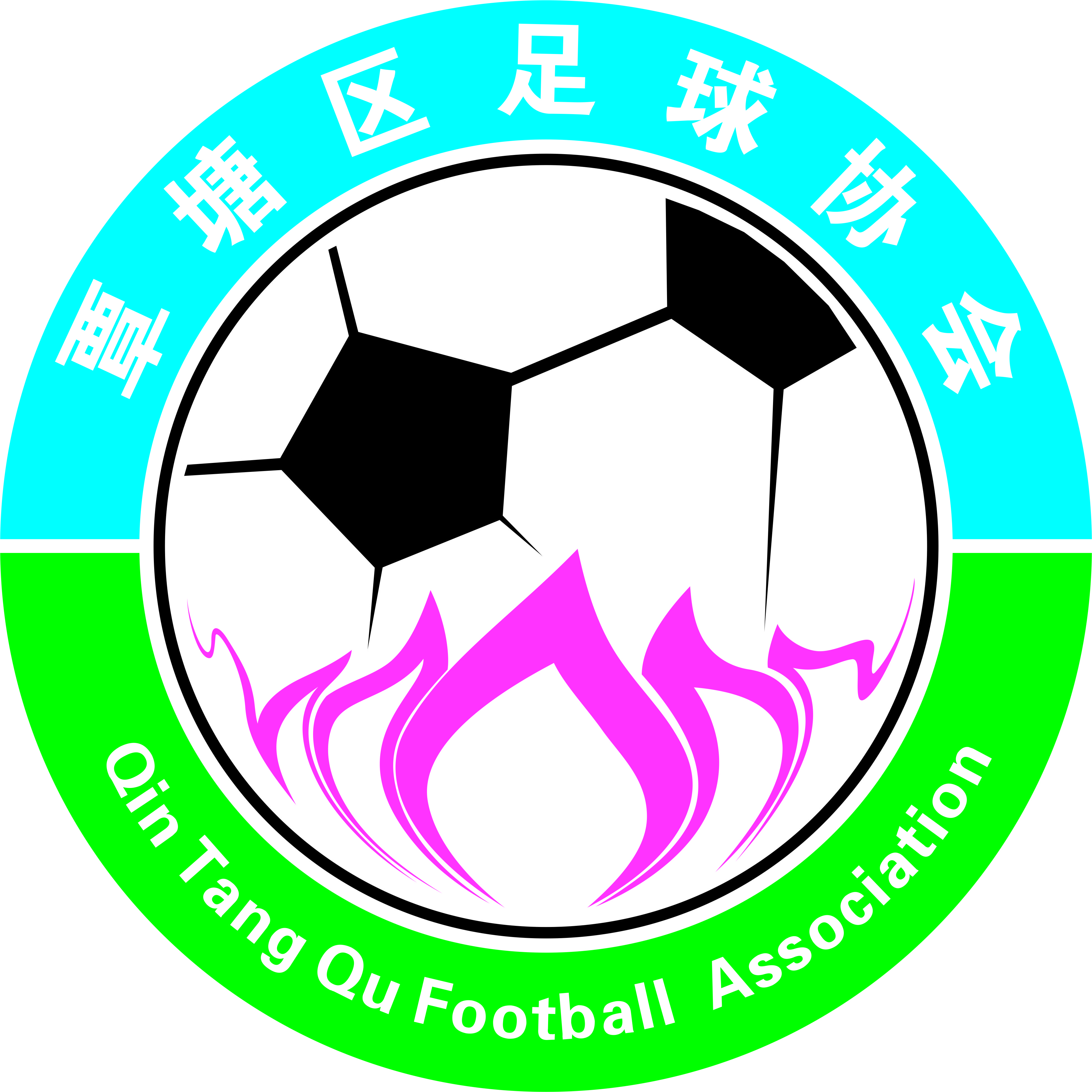 覃塘区从事足球运动的组织自愿结成的全区性,非营利性,体育类社团法人