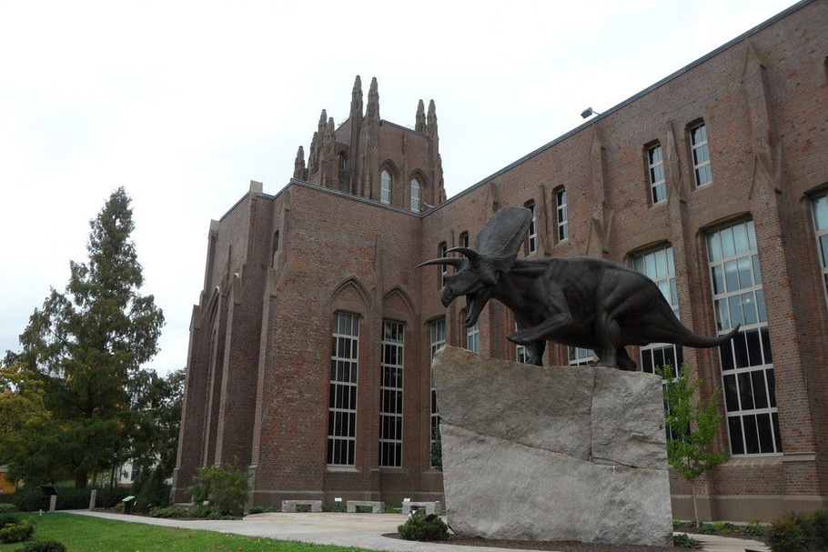 皮博迪自然历史博物馆