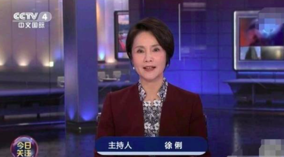 徐俐（原央视中文国际频道女主播）_百度百科