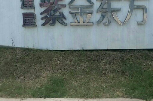 建屋紫金东方