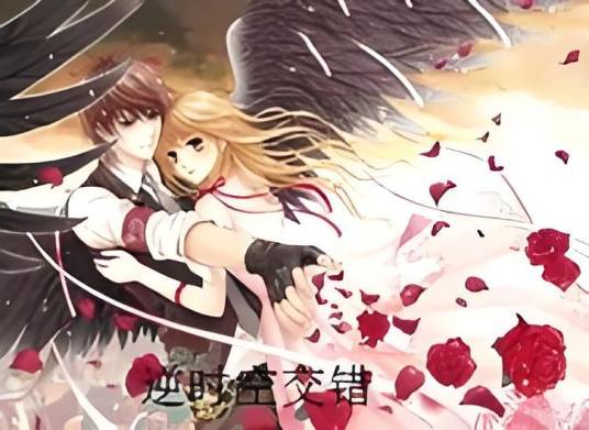 逆时空交错_百度百科