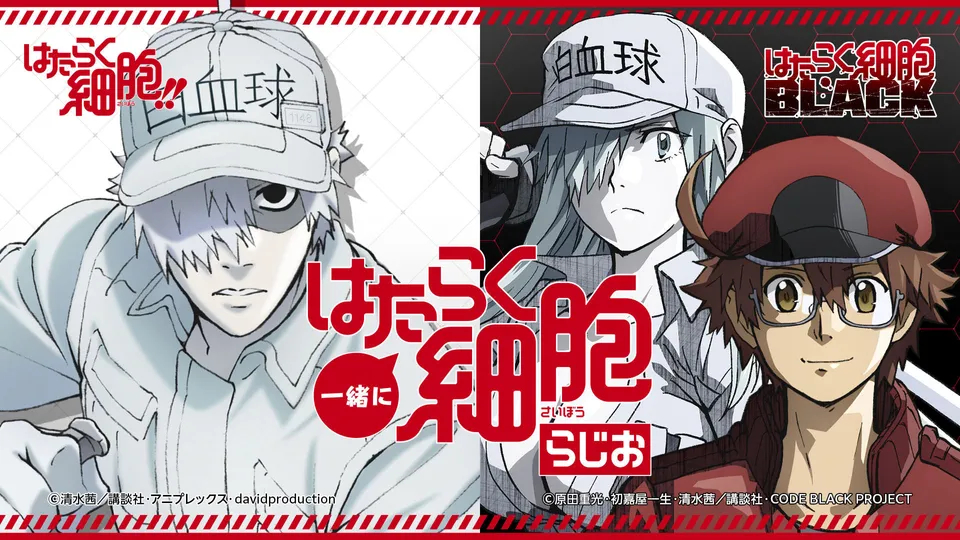 工作细胞第二季