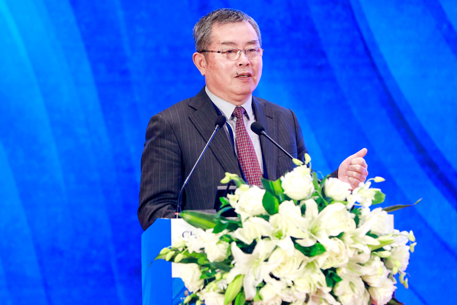  p data-id="gnwjwaqg85">李扬,1951年9月出生于安徽淮南,财政金融 