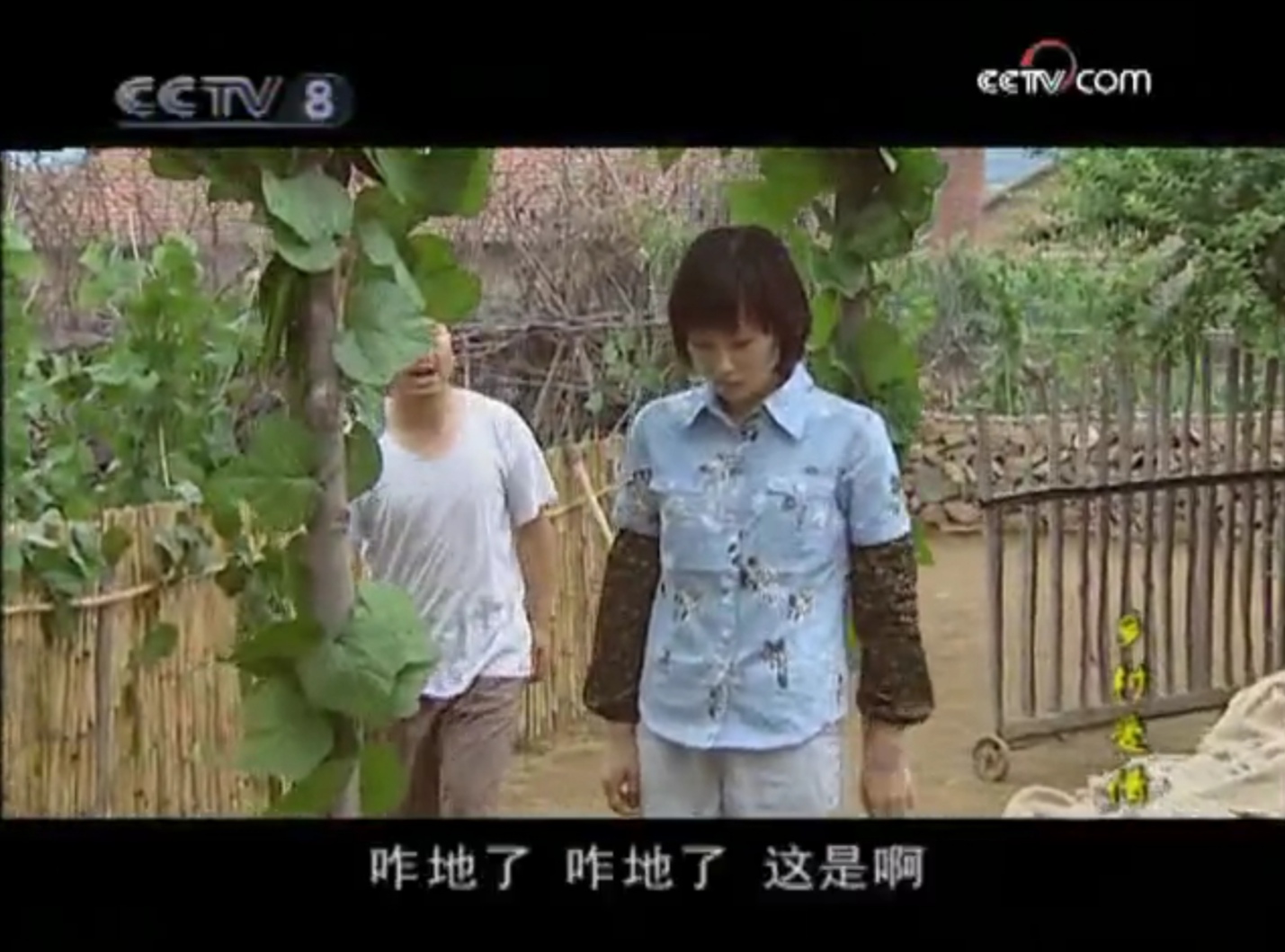 乡村爱情