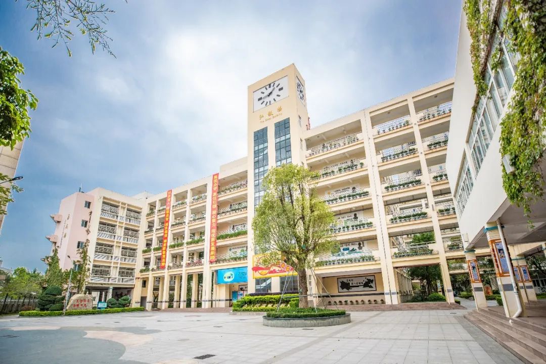 深圳市宝安区实验学校
