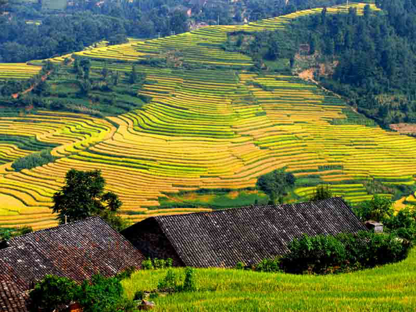  p>富宁县为中国云南省 a target="_blank" href="/item/文山州">文山