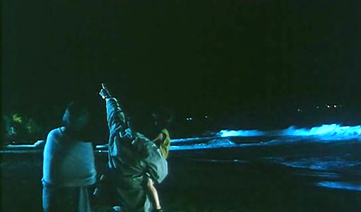 流星语thekid(1999)