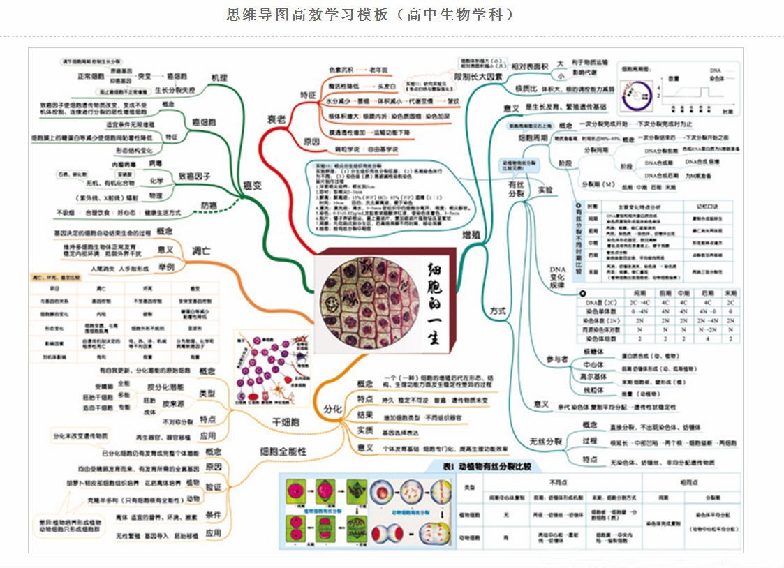 
信息技术会考高中生物
  第1张