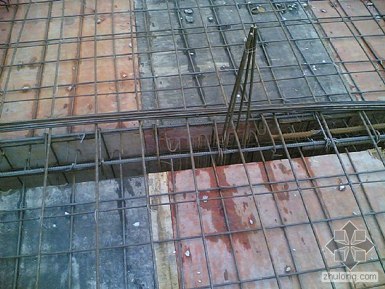  /a>架立的纵向构造 a target="_blank" href="/item/钢筋/7349950"