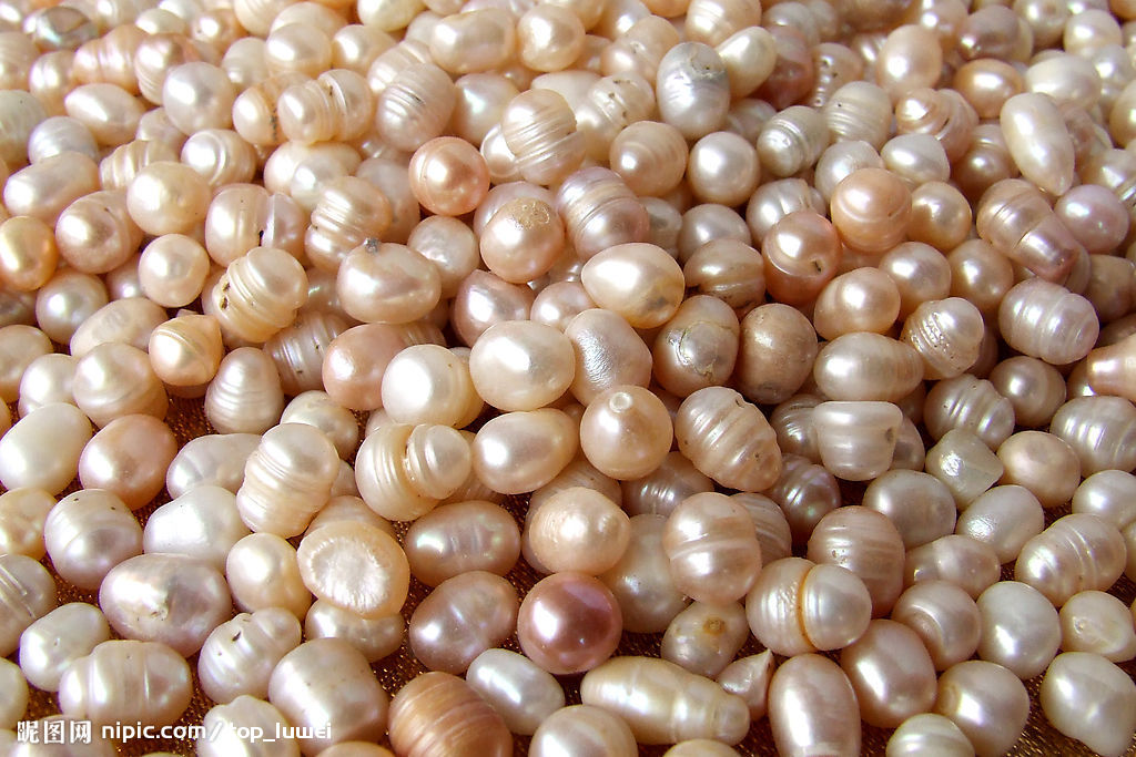  p>珍珠贝, a href="#" data-lemmaid="563285">软体动物门 /a>,瓣鳃