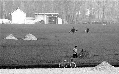  p>  几个月前,河南省周口市曾因推进殡葬改革,平坟200多万座备受关注