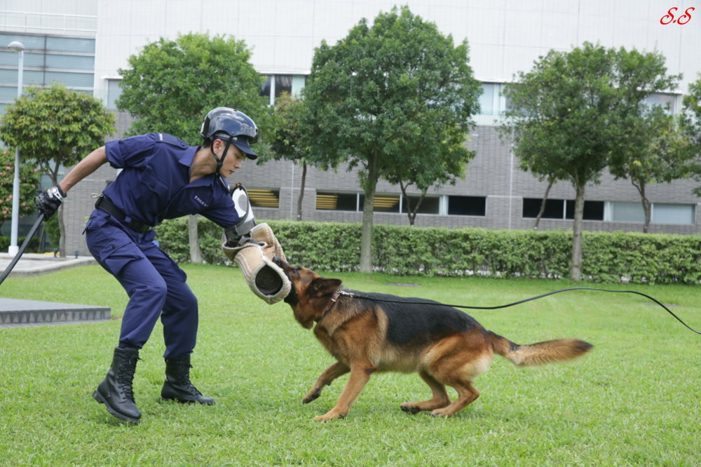 警犬巴打