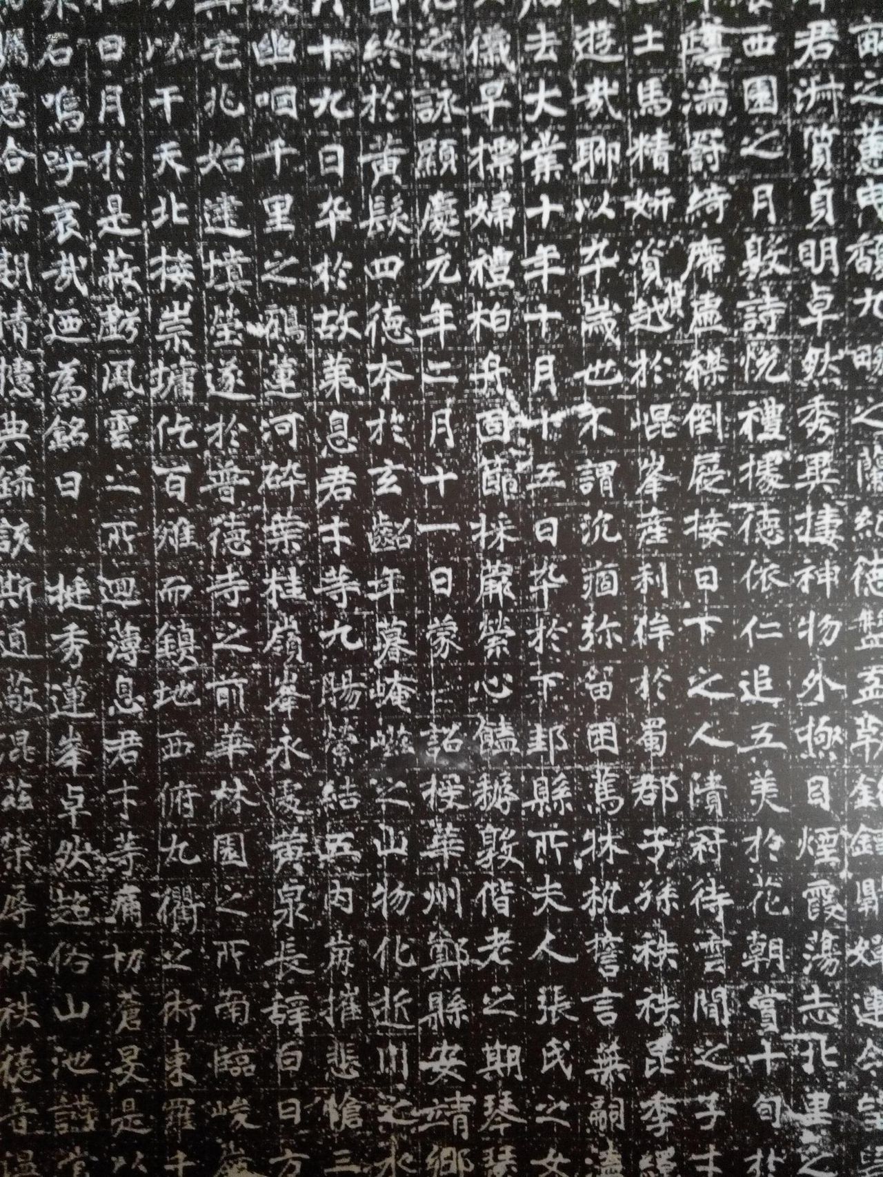 西安碑林博物馆新藏墓志汇编