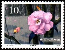 云南山茶花（1979年发行的特种邮票）_百度百科