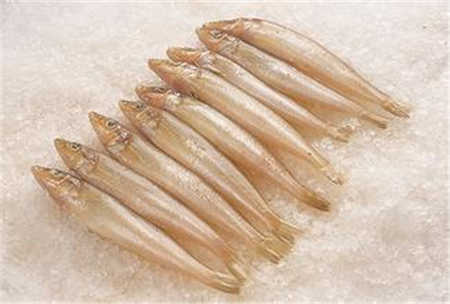 731iut55">以 a target="_blank" href="/item/远东拟沙丁鱼/985937"