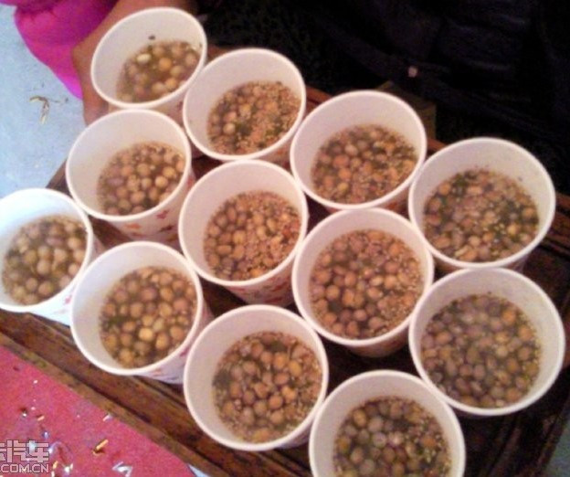 豆子茶