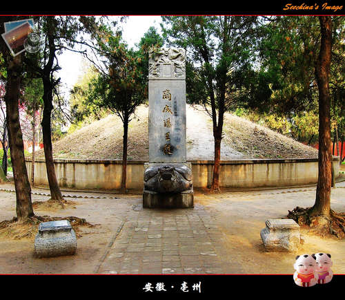 汤王墓