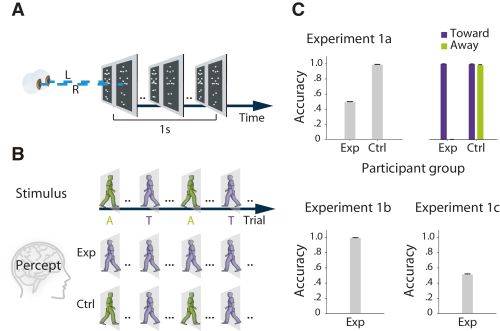  p data-id="gnwml07cwr">运动知觉(perception of movement)是物体的