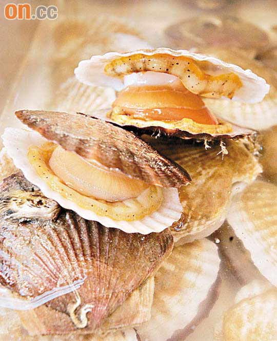 北方称鲜贝.带子是广东话的叫法,俗称骚蛤.