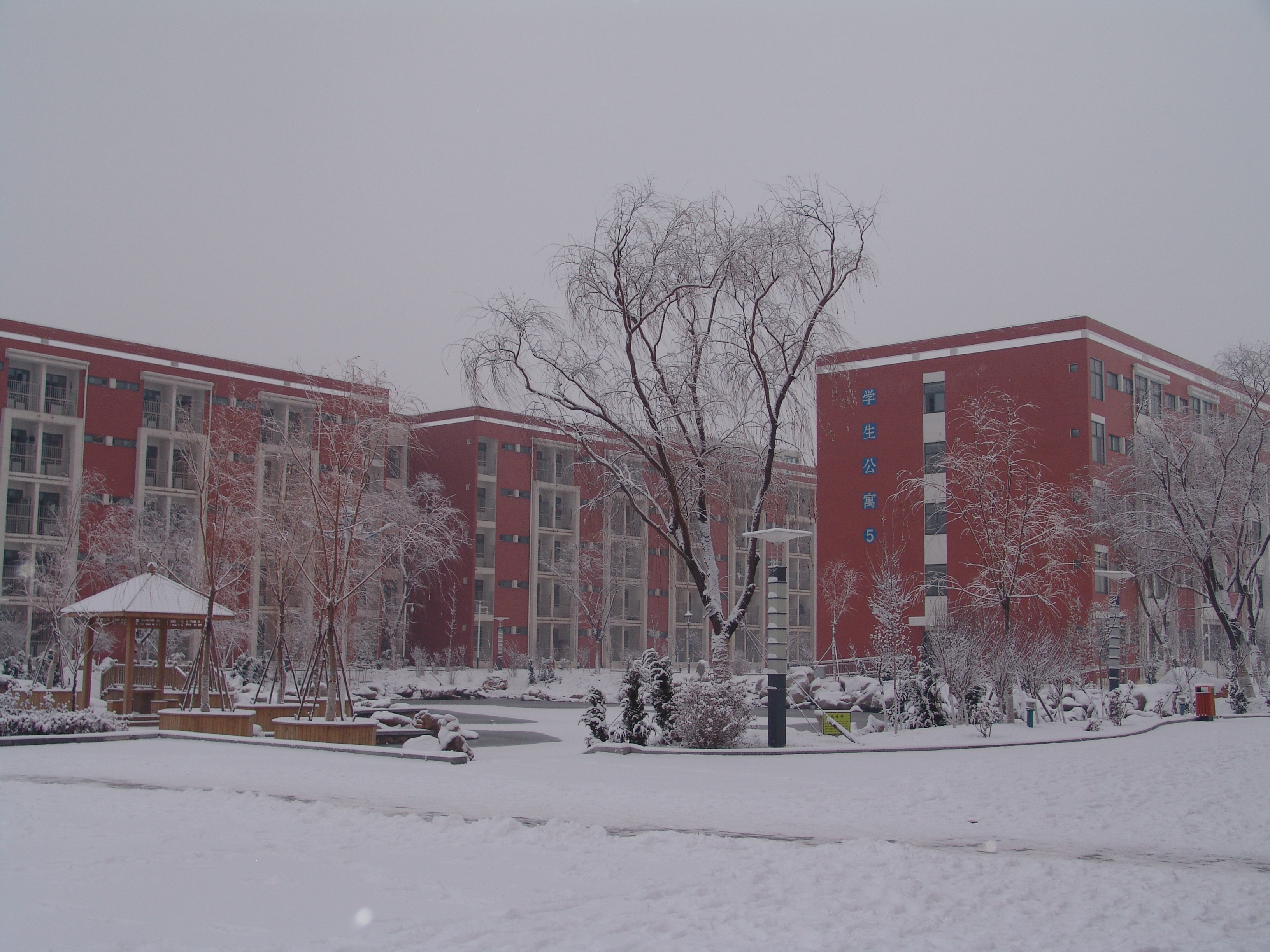  p>东营市技师学院是经 a href="#" data-lemmaid="8633804">山东省