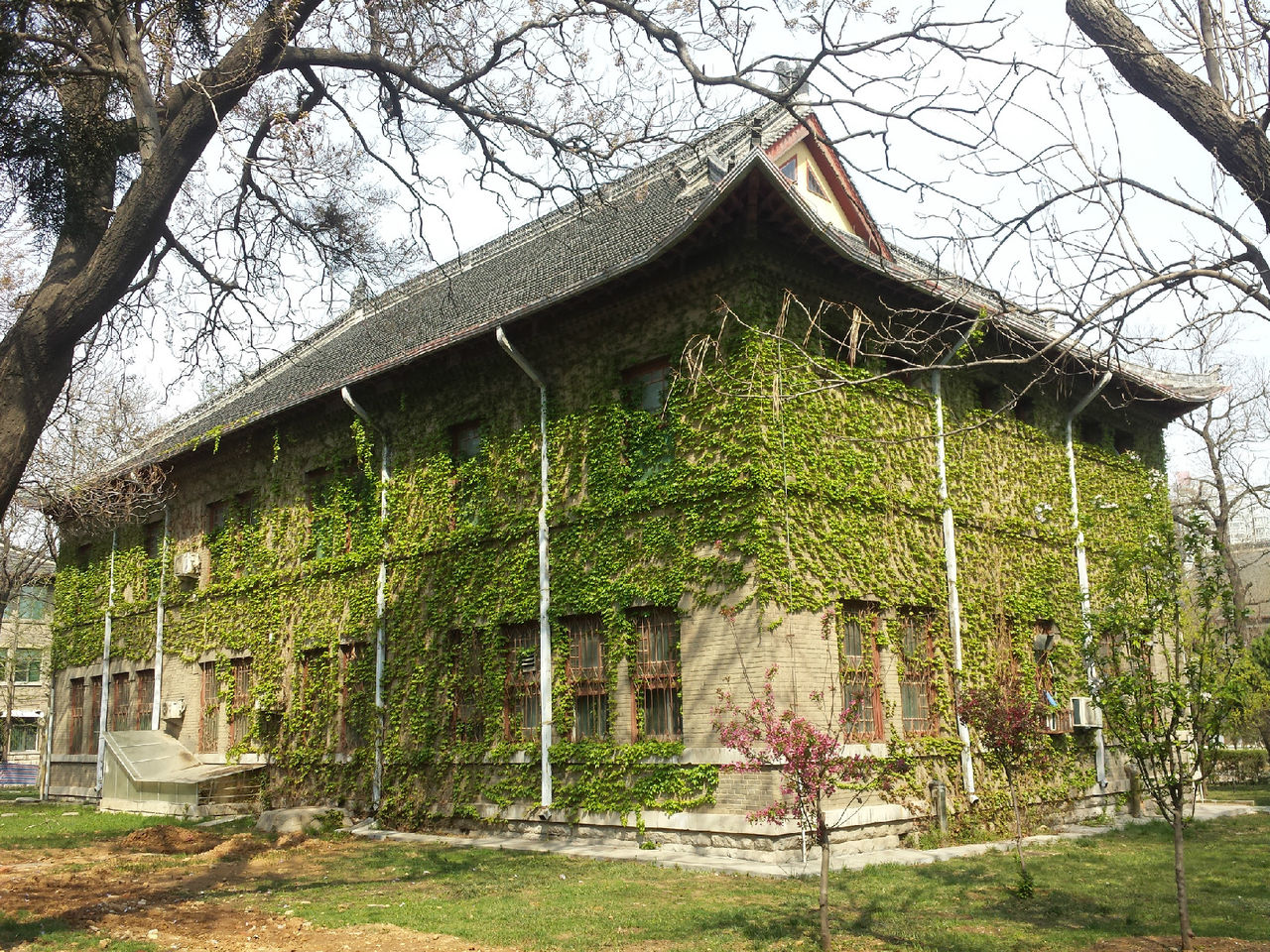  p>山东大学齐鲁医学院(cheeloo college of medicine, shandong