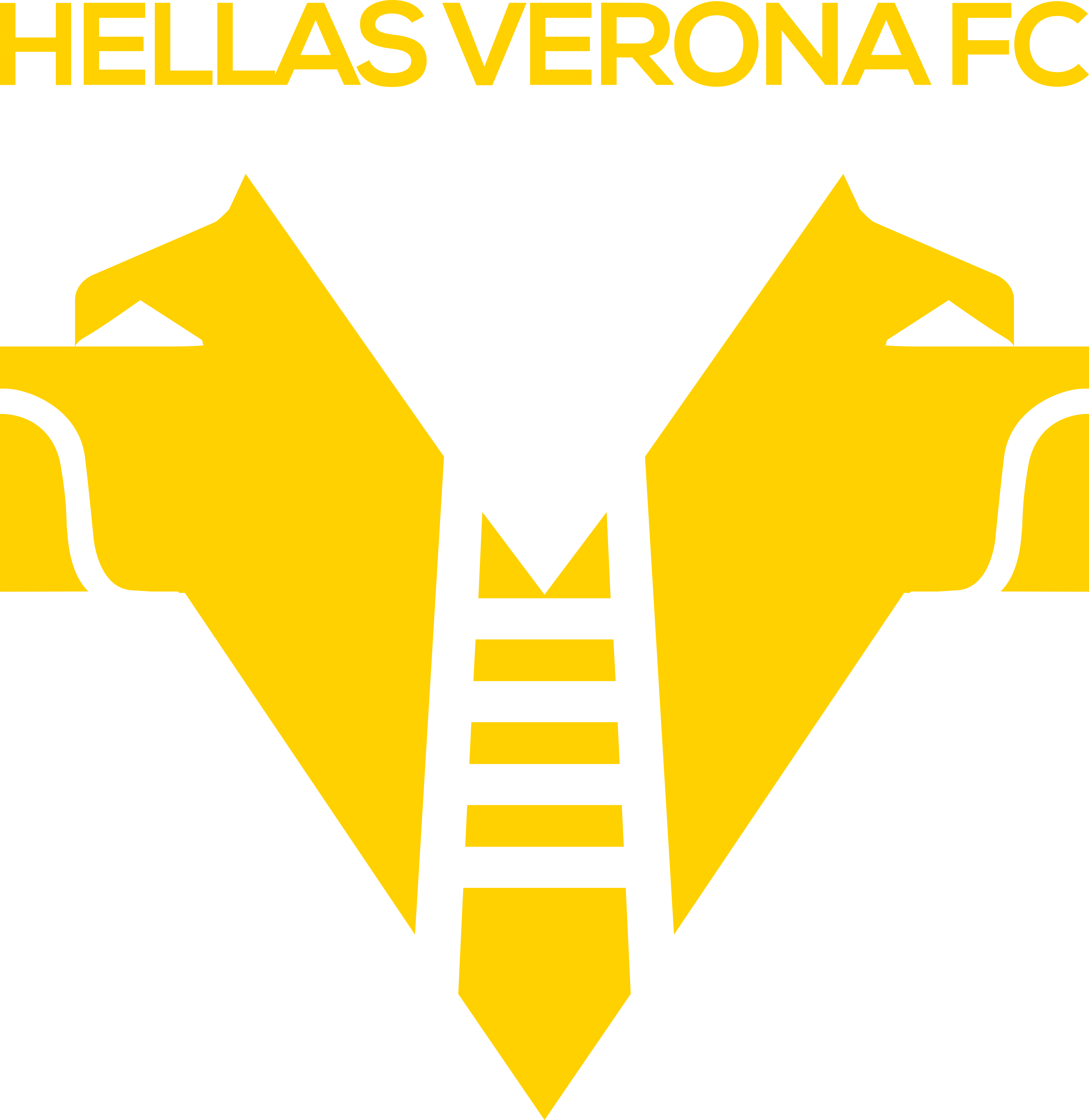 hellas verona football club