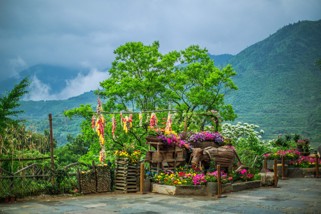  p>篁岭鲜花小镇位于江西省上饶市婺源县婺源篁岭旅游度假区内,篁岭