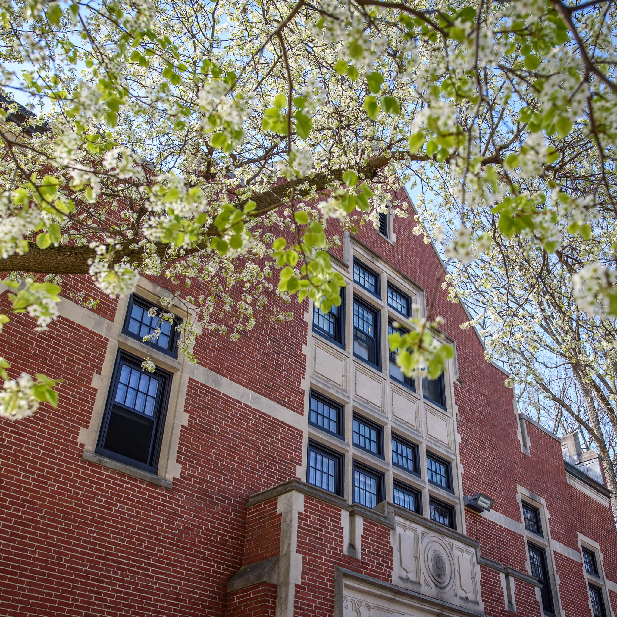  p>克拉克大学(clark university)是一所世界一流的以 a target="