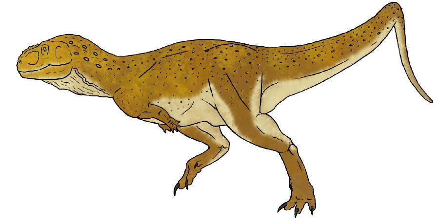  p>始阿贝力龙属( a target="_blank" href="